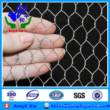 Galvanizado Hexagonal Wire Netting Chicken Mesh